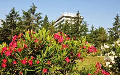 Территория - санаторий Знание